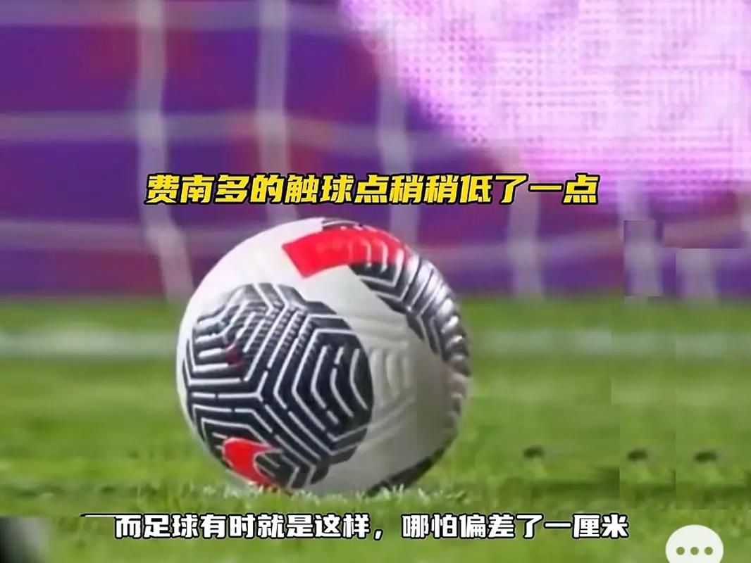 风险与机遇